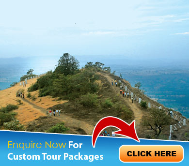 Saputara Tour Packages